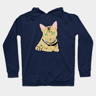 Graphic Cat Hoodie